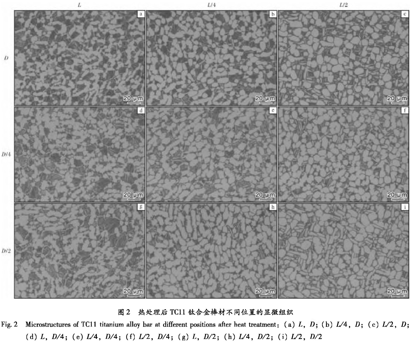 1688915014963634.jpg 未标题-1.jpg